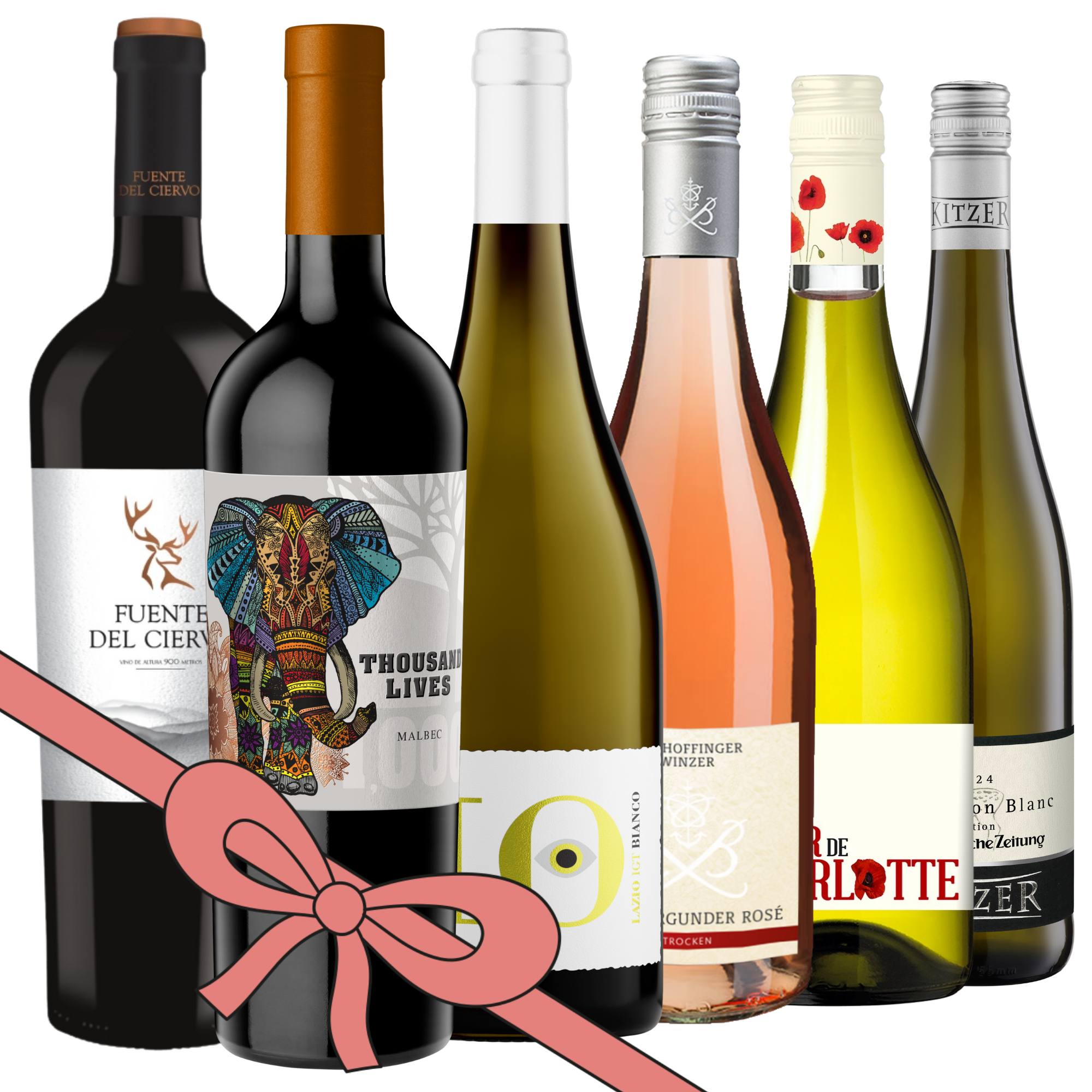 Das Weingeschenk der SZ-Vinothek